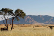 Namibie - Réserve naturelle de Namibrand - Randonnée guidée Tok Tokkie Trails