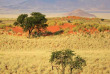 Namibie - Réserve naturelle de Namibrand - Randonnée guidée Tok Tokkie Trails