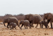 Namibie - Parc national d'Etosha ©Shutterstock, Artush
