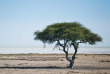 Namibie - Parc National d'Etosha, Safari au Etosha Safari Camp ©Gondwana Collection 