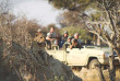 Namibie - Réserve naturelle Okonjima - Safari