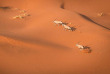 Namibie - Sesriem - Parc Naukluft - Survol en montgolfière ©Shutterstock, Janelle Lugge
