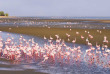 Namibie - Walvis Bay ©Shutterstock, Fabio Lamanna
