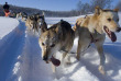 Norvège - Circuit Nuit insolite, husky et aurores boréales © Visit Norway