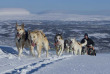 Norvège - Excursion Balade en traîneau à chiens © Visit Norway