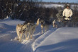 Norvège - Excursion Balade en traîneau à chiens © Visit Norway