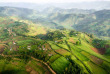 Ouganda - extension gorilles luxe - Gorilla Forest Camp