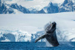 Croisières PONANT - Antarctique - La Grande Aventure © Studio Ponant, Olivier Blaud