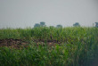 Congo - Croisière Expédition dans le Bassin du Congo - Expéditions Ducret