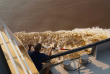 Congo - Croisière Expédition dans le Bassin du Congo - Expéditions Ducret