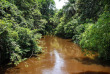 Congo - Croisière Expédition dans le Bassin du Congo ©Shutterstock, Marti Morini