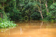 Congo - Croisière Expédition dans le Bassin du Congo ©Shutterstock, Marti Morini