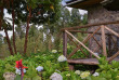 Rwanda - Parc des Volcans - Gorilla Mountain View Lodge
