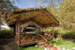 Tanzanie - Manyara - Migunga Forest Camp