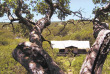 Tanzanie - Serengeti Migration Camp