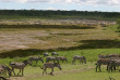 Tanzanie - Serengeti sud - Ndutu Safari Lodge