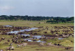 Tanzanie - Serengeti sud - Ndutu Safari Lodge