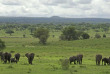 Tanzanie - Tarangire - Sanctuary Swala