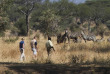 Tanzanie - Tarangire - Sanctuary Swala