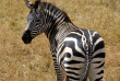 Tanzanie