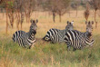 Tanzanie