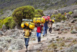 Tanzanie - Ascension du Kilimandjaro par voie Marangu