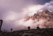 Tanzanie - Ascension du Kilimandjaro par voie Marangu