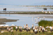 Tanzanie - Lake Manyara ©Shutterstock, Imspencer