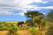 Tanzanie - Lake Manyara © Shutterstock, oleg znamenskiy