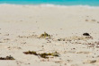 Tanzanie - Mafia Island - Pole Pole Bungalows