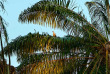Tanzanie - Mafia Island - Pole Pole Bungalows