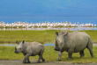Tanzanie - Ngorongoro © Shutterstock, sivanadar