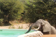 Tanzanie - Ruaha - Jongomero Camp