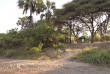 Tanzanie - Ruaha - Kichaka Expeditions - le Fly Camp