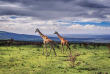 Tanzanie - Serengeti ©Shutterstock, kanokratnok