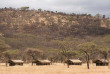 Tanzanie - Serengeti - Kati Kati Camp