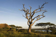 Tanzanie - Serengeti sud (Zone de Conservation du Ngorongoro) - Lake Masek Tented Camp