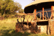 Tanzanie - Serengeti Simba Lodge