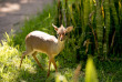 Tanzanie - Arusha Arumeru Lodge