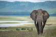 Tanzanie - Cratère du Ngorongoro