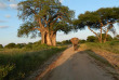 Tanzanie - Tarangire National Park