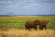 Tanzanie - Tarangire ©Shutterstock, lmspencer