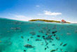 Tanzanie - Zanzibar - Excursion Snorkeling à la réserve marine de Mnemba © Shutterstock, Michal Wegrzyn