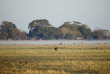 Zambie - Kafue NP - Wilderness Busanga Bush Camp