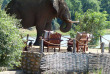 Zambie - Lower Zambezi - Chongwe River Camp