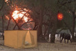 Zambie - Lower Zambezi - Tusk and Mane fly camp