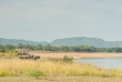 Zambie - Parc national du South Luangwa ©Kafunta Safaris