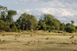 Zambie - Parc national du South Luangwa - Kafunta River Lodge
