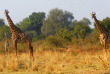 Zambie - Parc national du South Luangwa - Three Rivers Camp