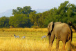 Zambie - Parc national du South Luangwa - Three Rivers Camp